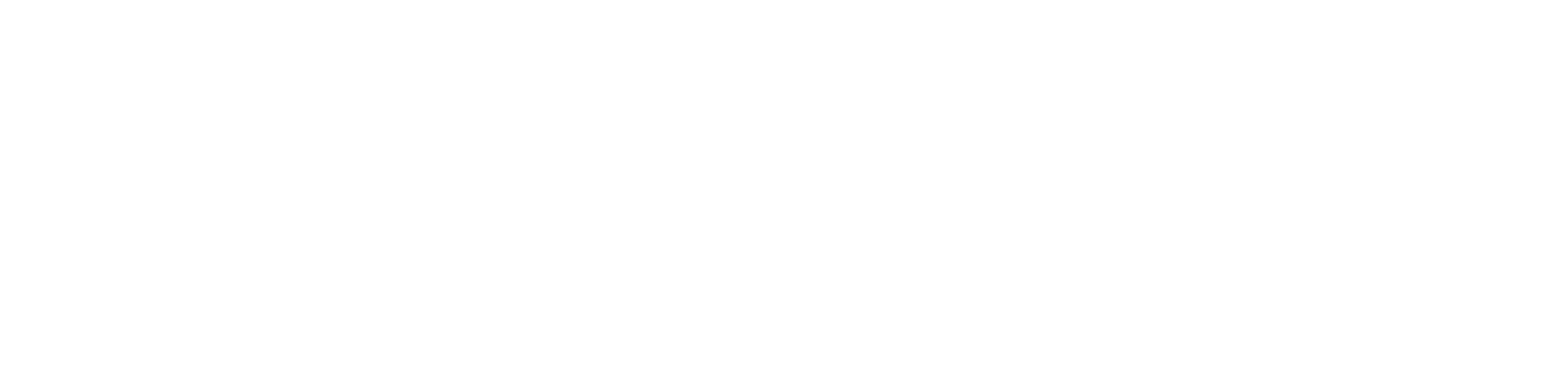 exdous logo